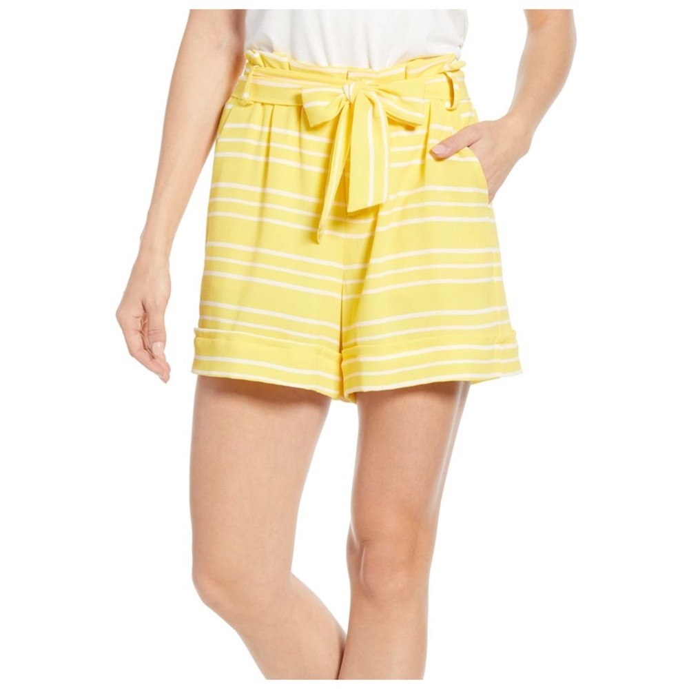 NWT Gibson x Living in Yellow Paperbag Shorts